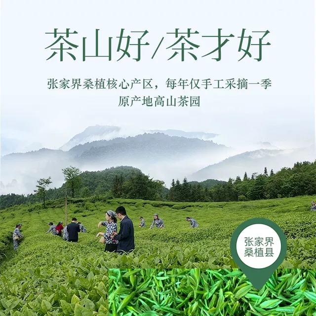 張家界林豐茶葉開(kāi)發(fā)有限公司,張家界茶葉開(kāi)發(fā),茶葉種植,桑植白茶加工,帥湘紅銷(xiāo)售