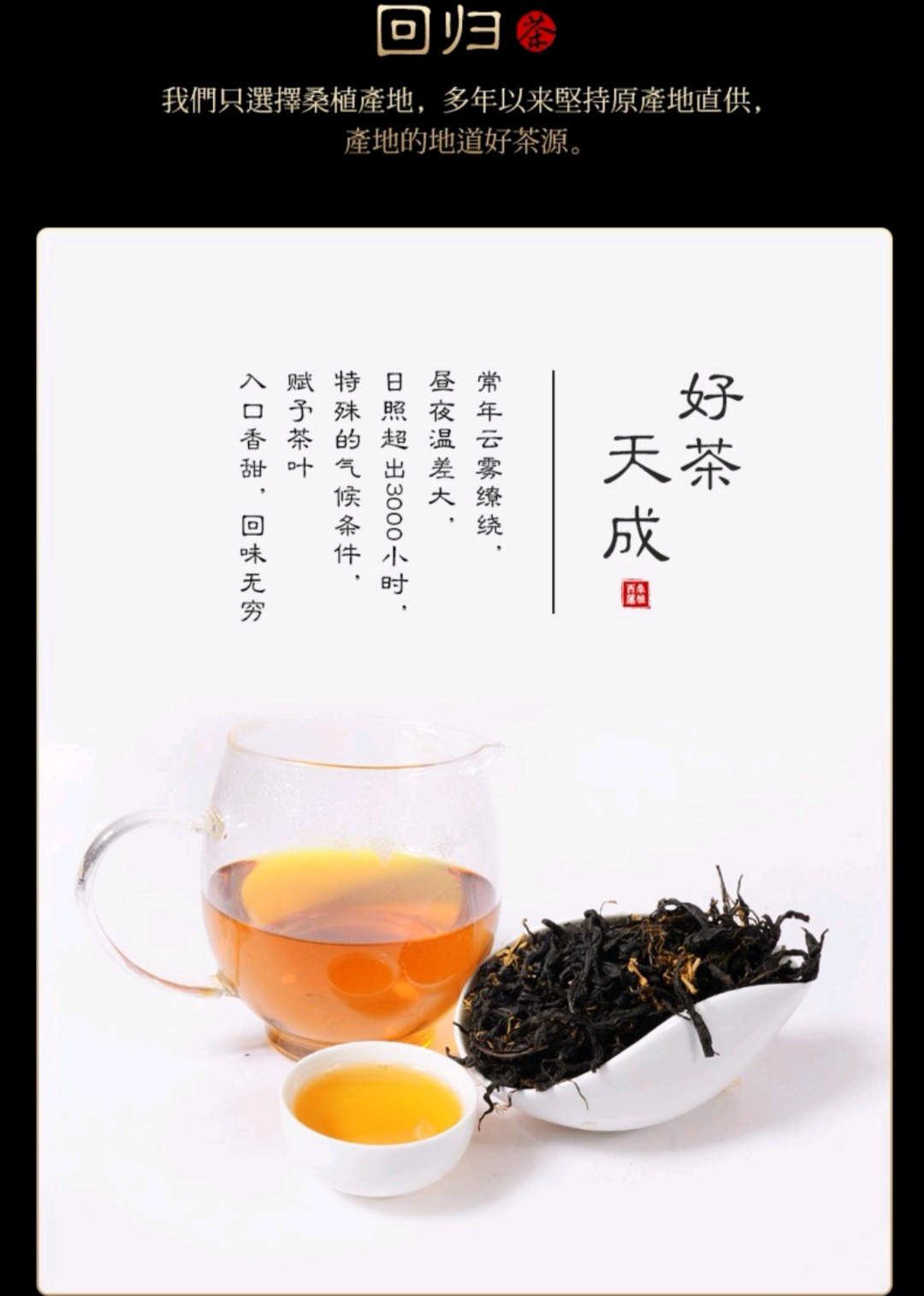 張家界林豐茶葉開發(fā)有限公司,張家界茶葉開發(fā),茶葉種植,桑植白茶加工,帥湘紅銷售